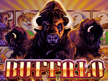 Buffalo – виртуальный слот: играть на зеркало онлайн